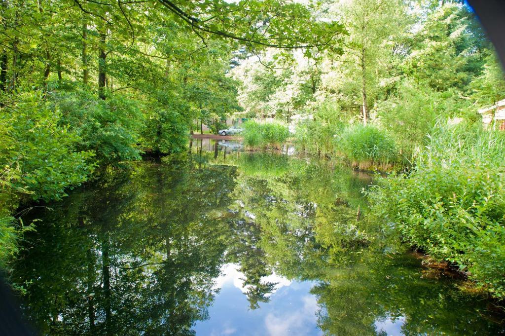 Vakantiepark De Berkenhorst Kootwijk Dış mekan fotoğraf